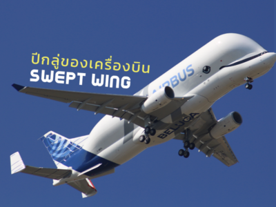 ปีกลู่ Swept wing